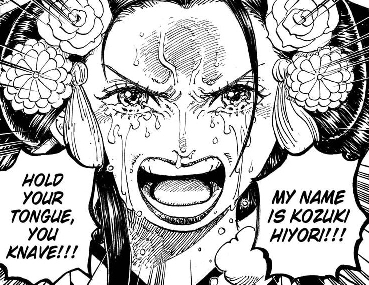 One Piece Chapter 1044 - Hiyori declares who she is
